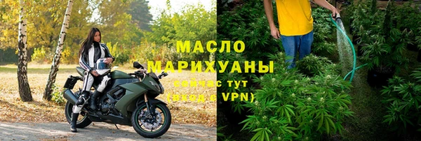 крисы Новодвинск
