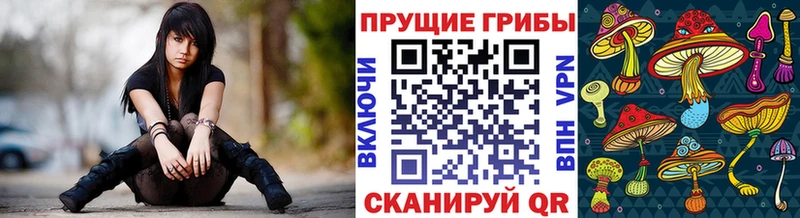 Псилоцибиновые грибы MAGIC MUSHROOMS  Бодайбо 